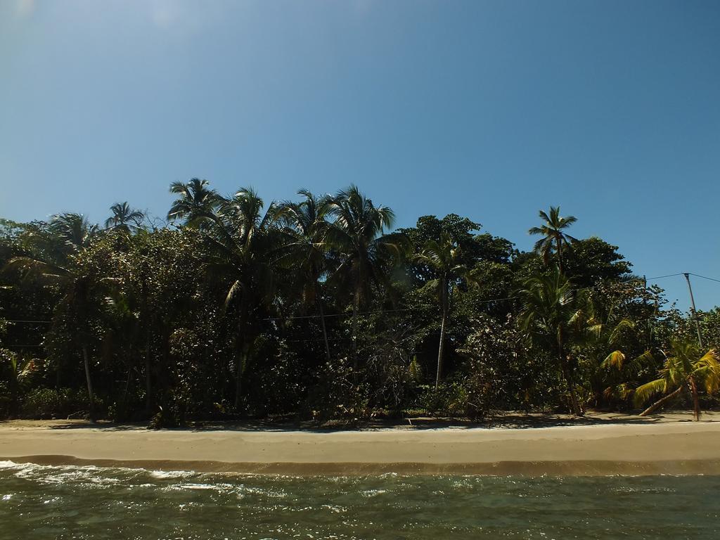 Cabinas Caribe Luna Cahuita Exterior photo