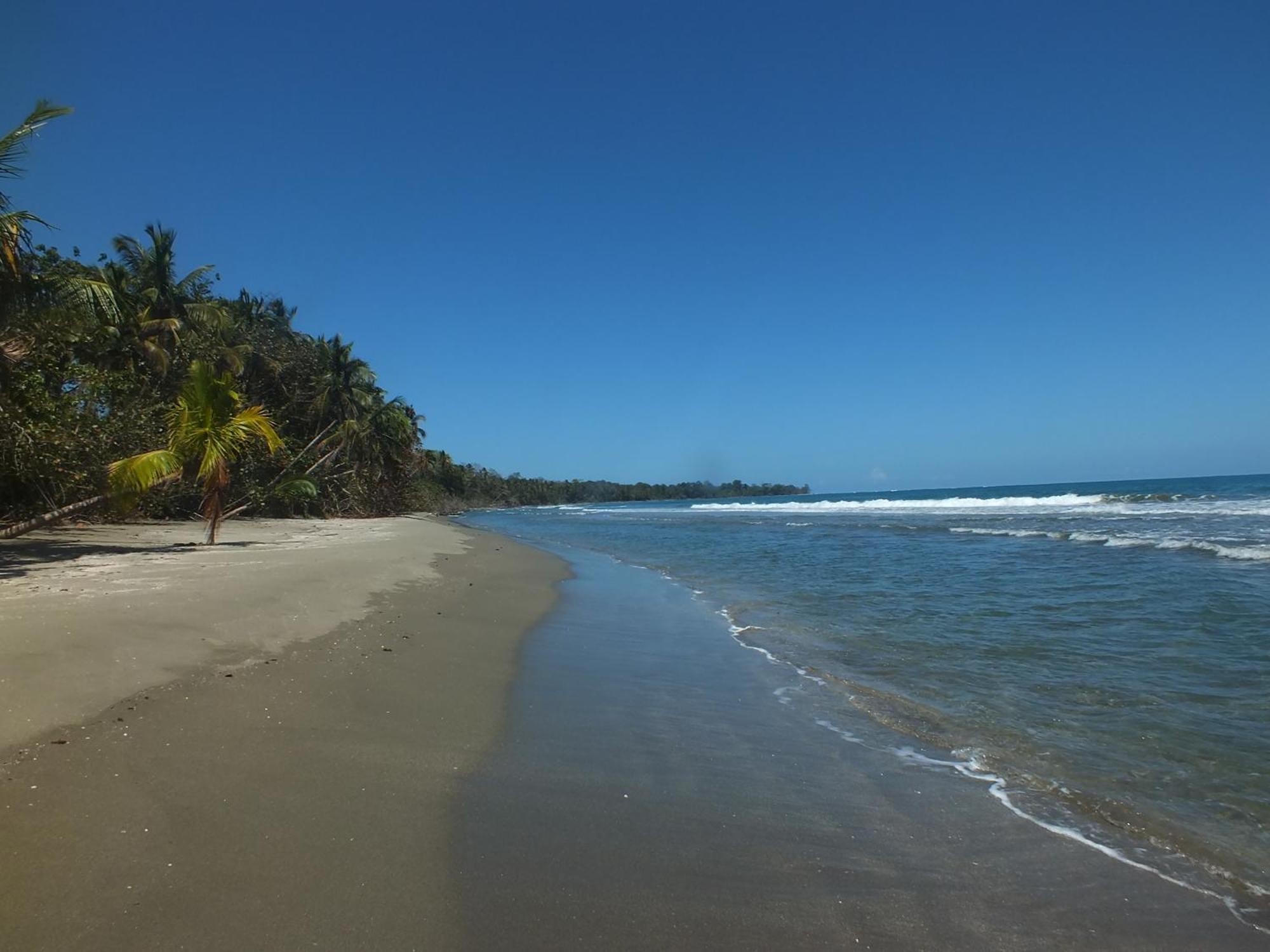 Cabinas Caribe Luna Cahuita Exterior photo