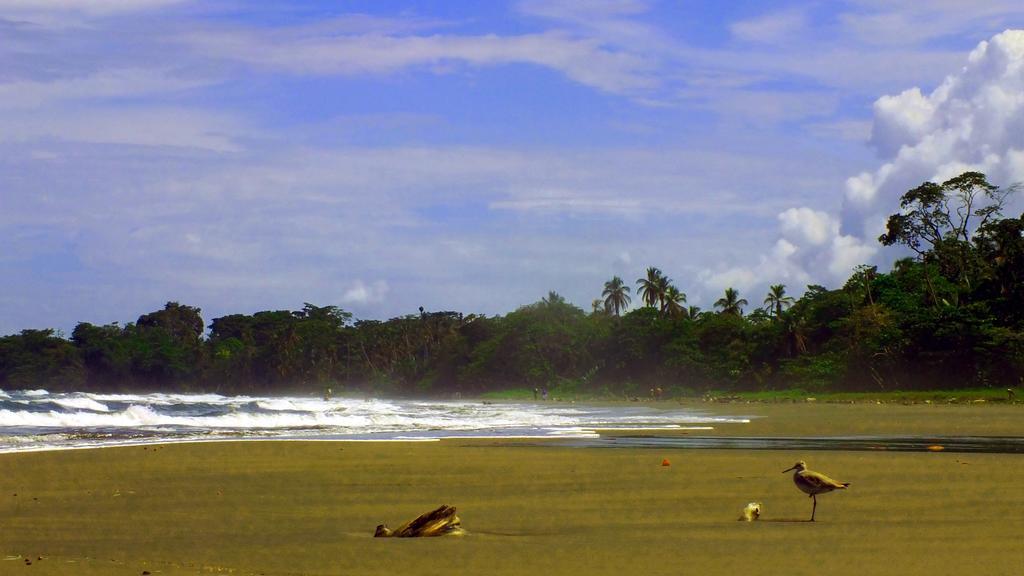 Cabinas Caribe Luna Cahuita Exterior photo