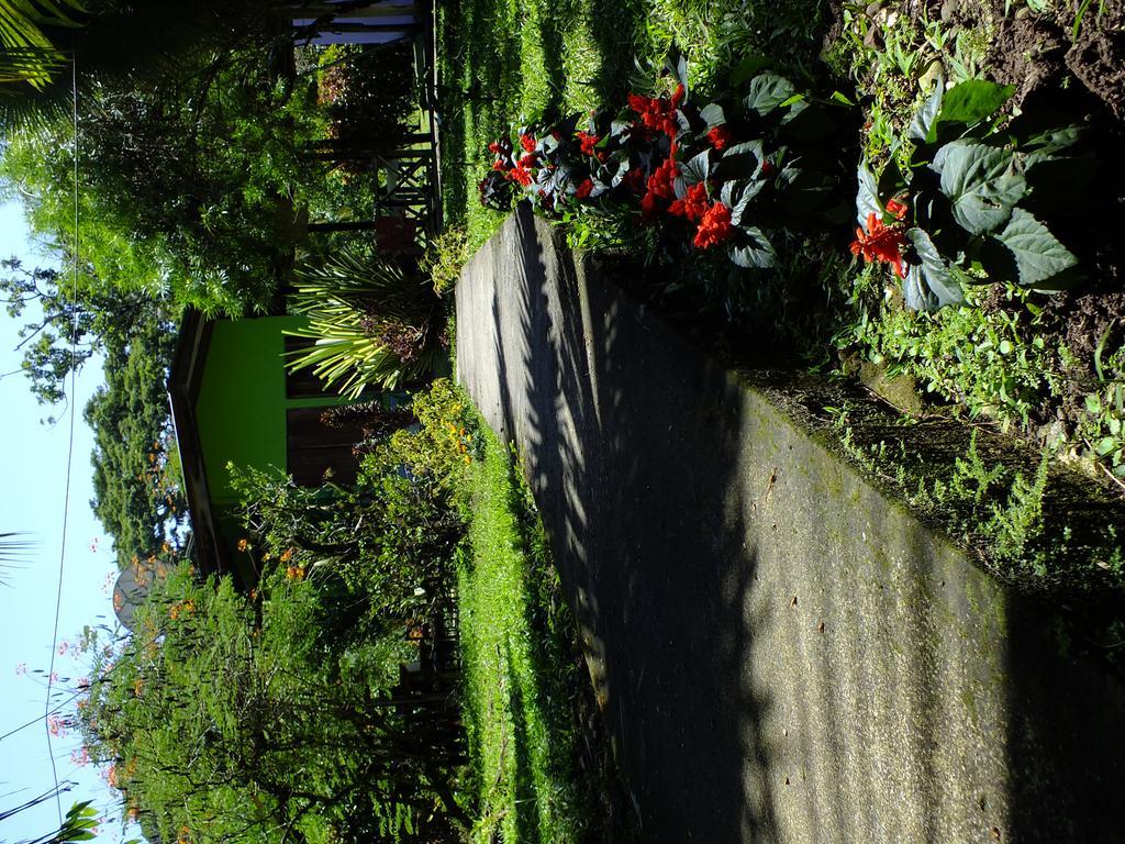 Cabinas Caribe Luna Cahuita Exterior photo