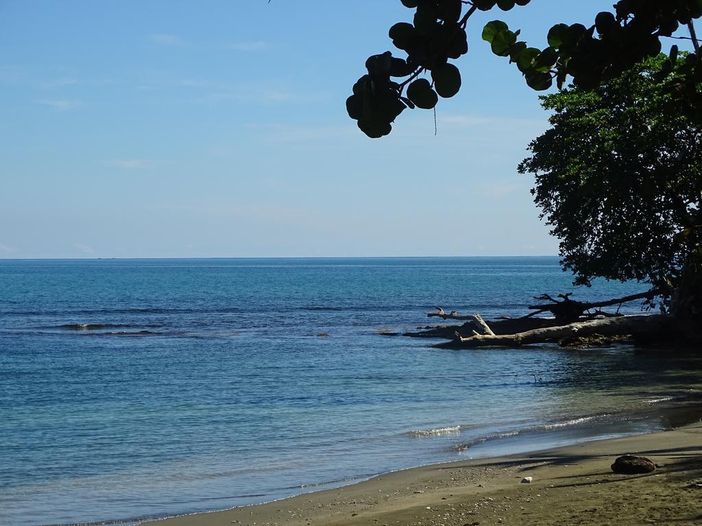 Cabinas Caribe Luna Cahuita Exterior photo