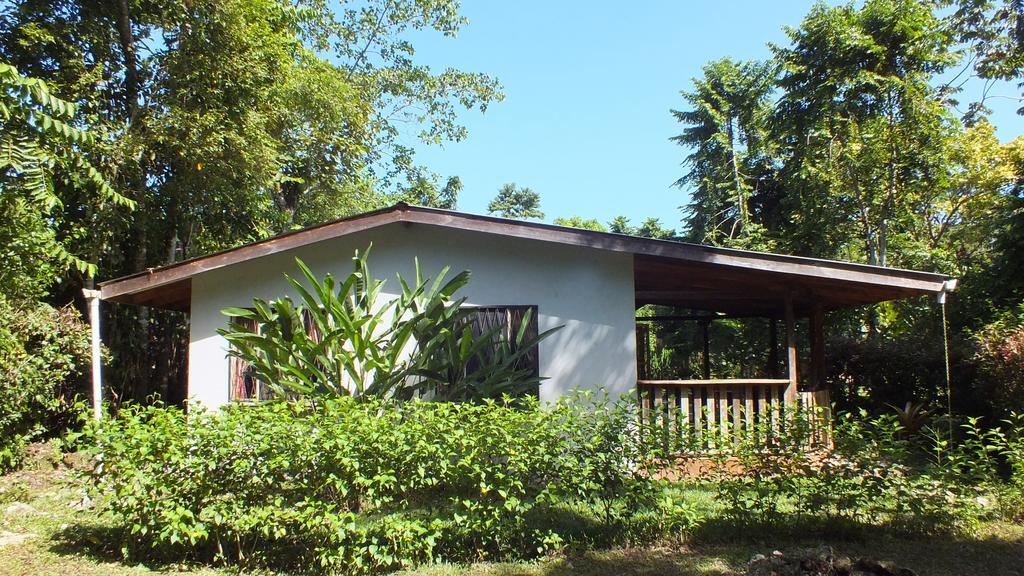 Cabinas Caribe Luna Cahuita Exterior photo